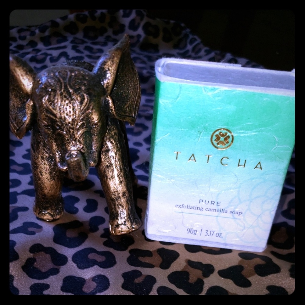 Tatcha Pure Exfoliating Camellia Soap